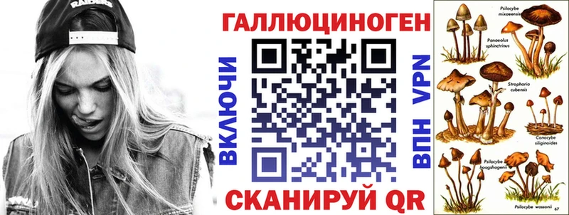 где можно купить наркотик  Северобайкальск  Галлюциногенные грибы Psilocybe 
