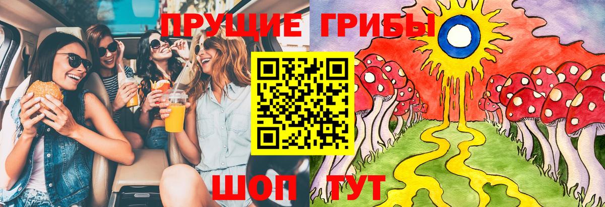 Псилоцибиновые грибы Cubensis  Вход с VPN  Северобайкальск 